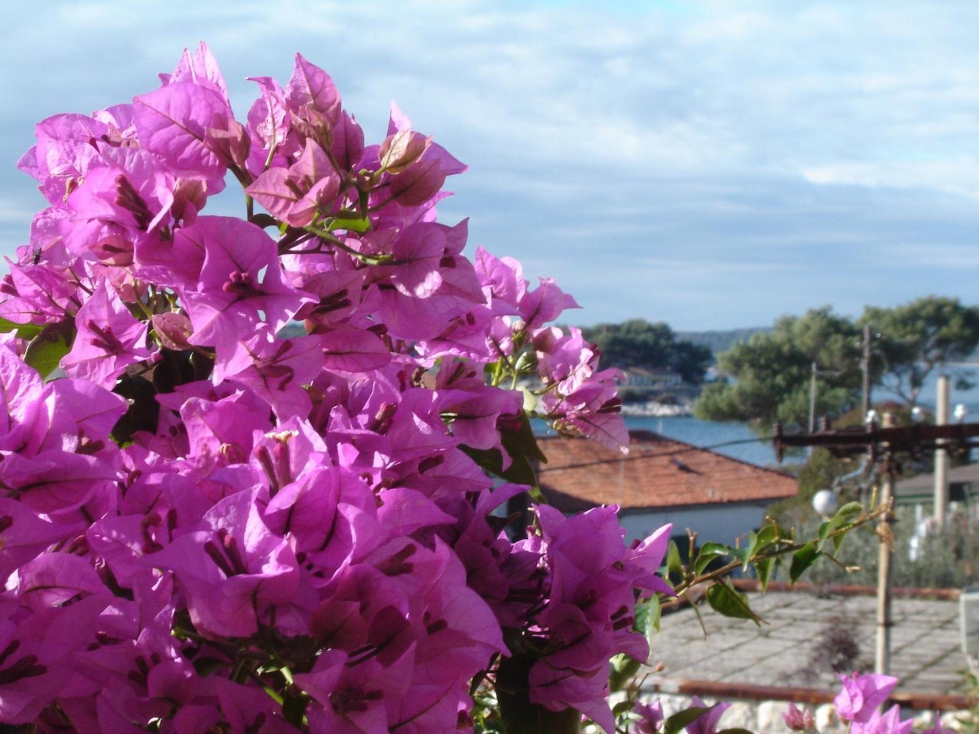 Apartmani Luna Hvar Town Zewnętrze zdjęcie