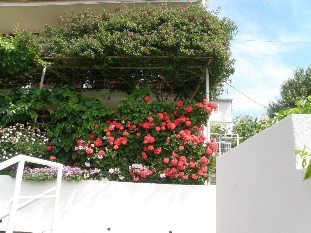 Apartmani Luna Hvar Town Zewnętrze zdjęcie