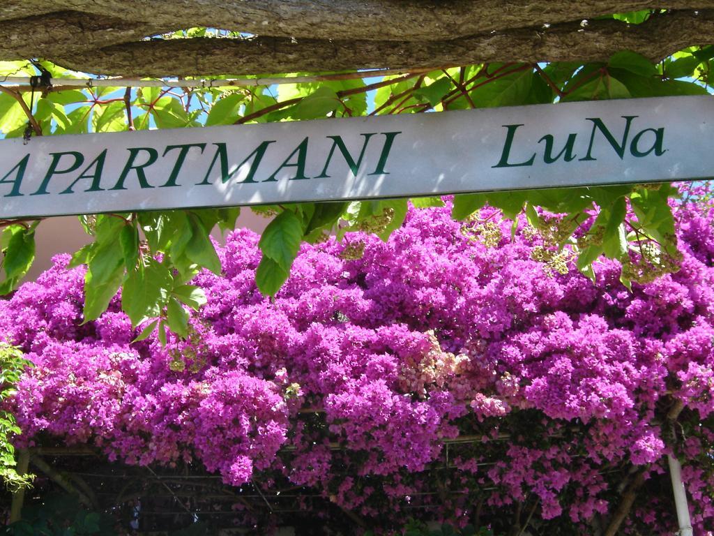 Apartmani Luna Hvar Town Zewnętrze zdjęcie